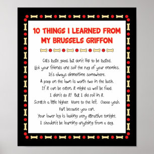 Funny Things I Learned From My Brussels Griffon Poster