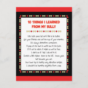 Funny Things I Learned From My Bully Postcard