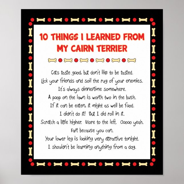 Funny Things I Learned From My Cairn Terrier Poster (Front)