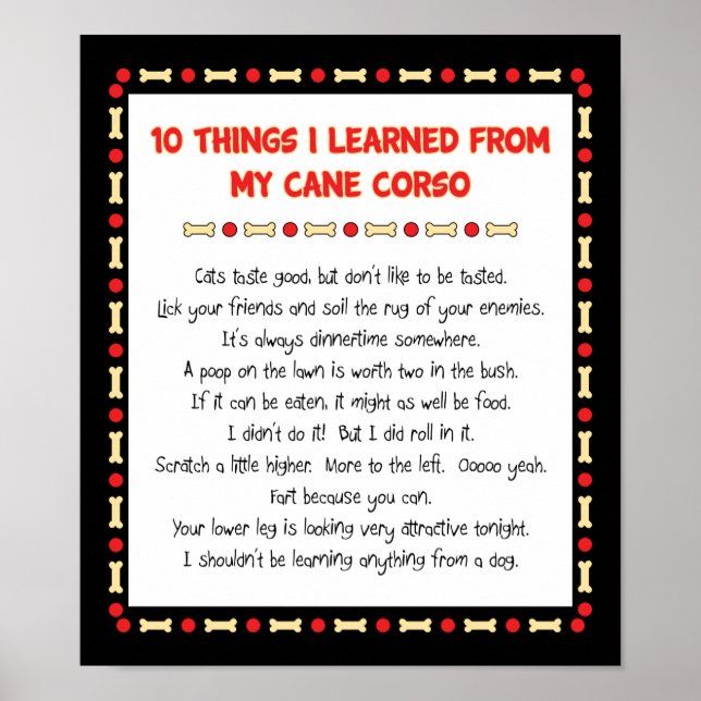 Funny Things I Learned From My Cane Corso Poster (Front)