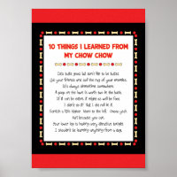Funny Things I Learned From My Chow Chow