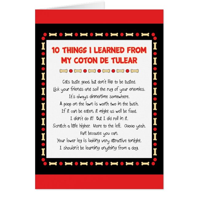 Funny Things I Learned From My Coton de Tulear (Front)