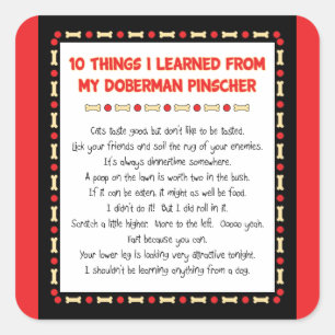 Funny Things I Learned From My Doberman Pinscher Square Sticker