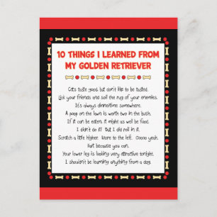 Funny Things I Learned From My Golden Retriever Postcard