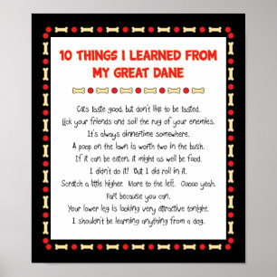 Funny Things I Learned From My Great Dane Poster