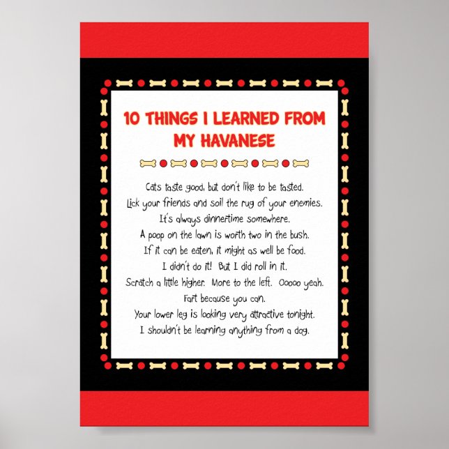 Funny Things I Learned From My Havanese Poster (Front)