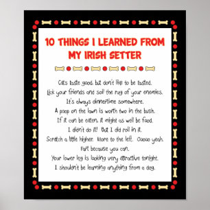 Funny Things I Learned From My Irish Setter Poster