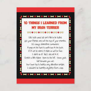 Funny Things I Learned From My Irish Terrier Postcard