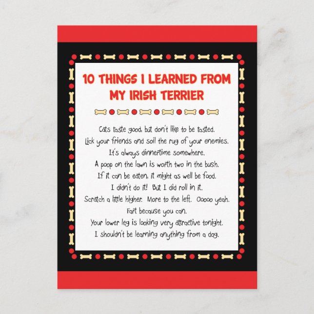 Funny Things I Learned From My Irish Terrier Postcard (Front)