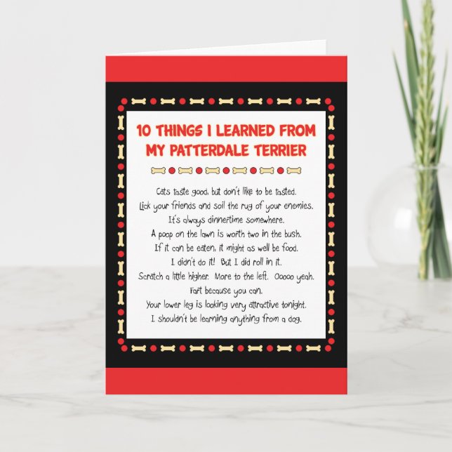 Funny Things I Learned From My Patterdale Terrier Card (Front)