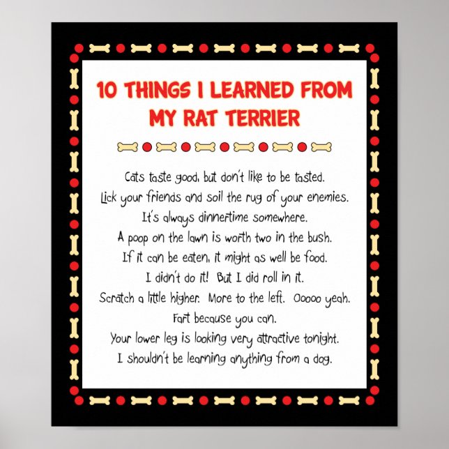 Funny Things I Learned From My Rat Terrier Poster (Front)