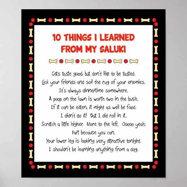 Funny Things I Learned From My Saluki Poster (Front)