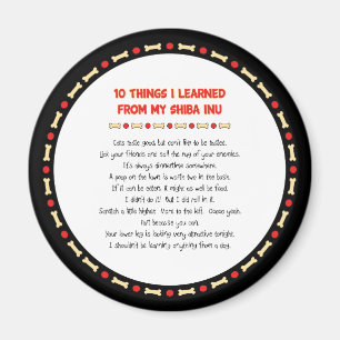 Funny Things I Learned From My Shiba Inu Magnet