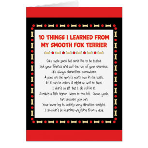 Funny Things I Learned From My Smooth Fox Terrier
