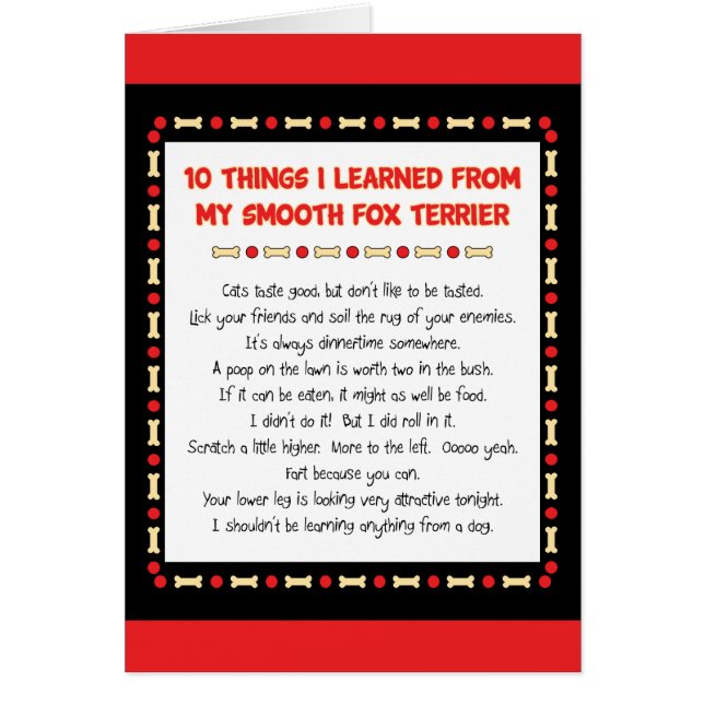 Funny Things I Learned From My Smooth Fox Terrier (Front)