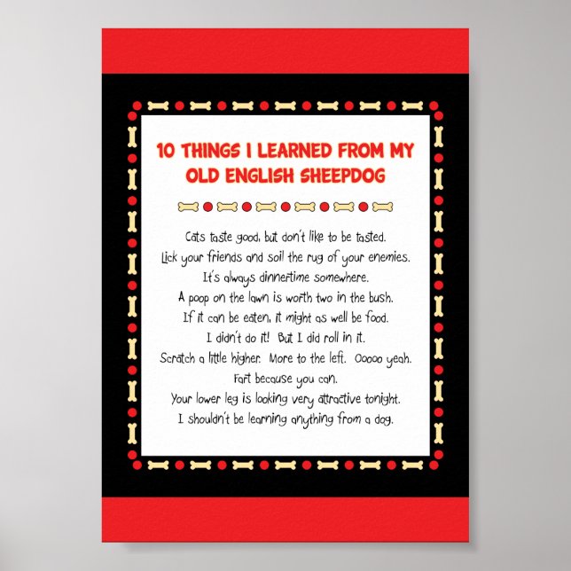 Funny Things I Learned From Old English Sheepdog Poster (Front)