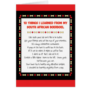 Funny Things I Learned From South African Boerboel