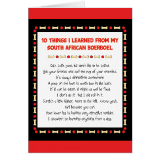 Funny Things I Learned From South African Boerboel