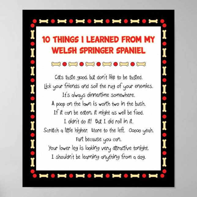 Funny Things I Learned From Welsh Springer Spaniel Poster (Front)