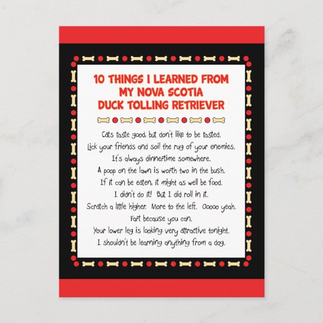 Funny Things Learned From Nova Scotia Duck Toller Postcard (Front)