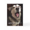 Funny Thinking Of You Alaskan Malamute Dog Photo