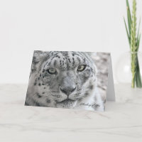 Funny Thinking of You Card Hungry Snow Leopard