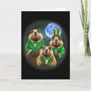 Funny Three Groundhog Moon 3 Groundhog Head St Pat Card
