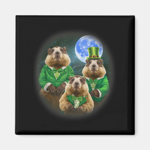 Funny Three Groundhog Moon 3 Groundhog Head St Pat Magnet