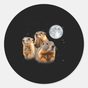 Funny Three Groundhog Moon Groundhog Day Classic Round Sticker