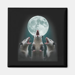 Funny Three Possum Moon _ 3 Opossum And Dead Moon Magnet