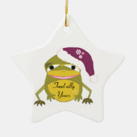 Funny Toad in a Santa Hat