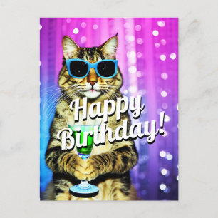 Funny toasting cat birthday  postcard