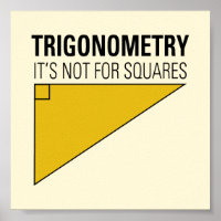 Funny Trigonometry Not For Squares