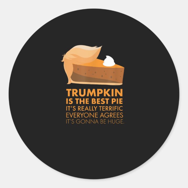 Funny  Tshirt Pumpkin Pie Thanksgiving Fall Classic Round Sticker (Front)