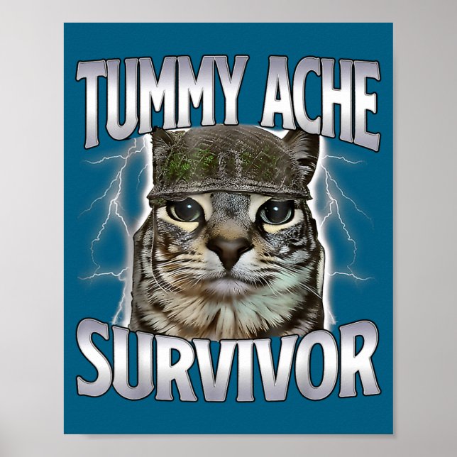 Funny Tummy Ache Survivor Cat Meme Poster (Front)