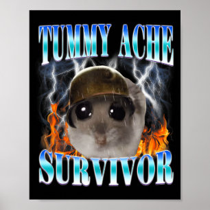 Funny Tummy Ache Survivor Hamster Meme Poster