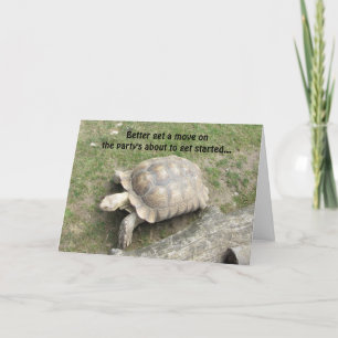 Funny Turtle Birthday Card