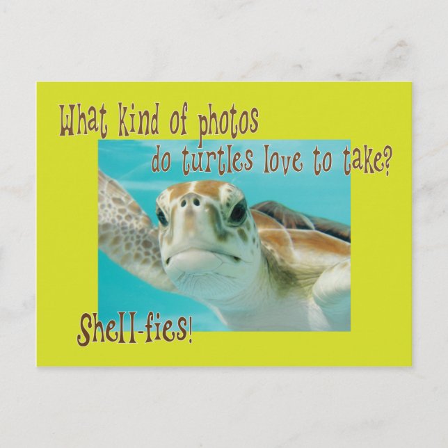 Funny turtle riddle for kids postcard (Front)