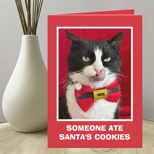 Funny Tuxedo Carte de Noël de chat (Créateur téléchargé)