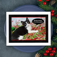 Funny Tuxedo Cat Christmas Postcard
