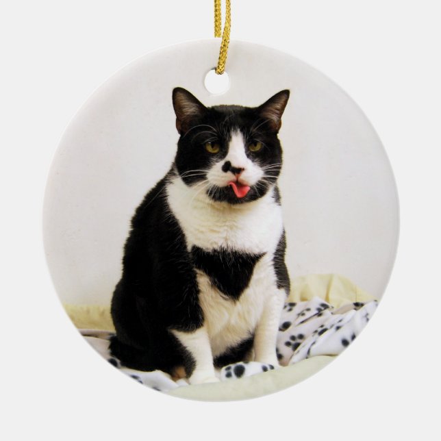 Funny Tuxedo Cat Ornament (Front)
