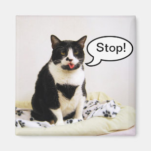 Funny Tuxedo Cat "Stop!" Magnet
