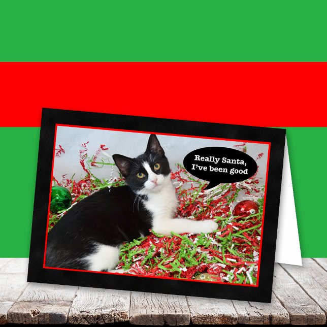 Funny Tuxedo Kitten Cat Christmas Card (Creator Uploaded)