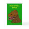 Funny Tyrranosaurus Rex Kids Birthday Custom Name