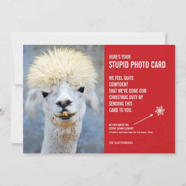 Funny Ugly Llama Christmas Stupid Photo Card (Front)