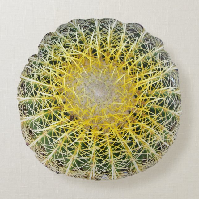 Funny Uncomfortable Botanical Globe Cactus Round Pillow (Front)