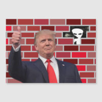 Funny Undocumented Immigrant Wall Gag 😂 UFO