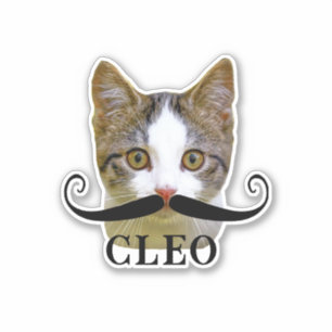 Funny Upload Cat Face Photo & Name with Moustache 
