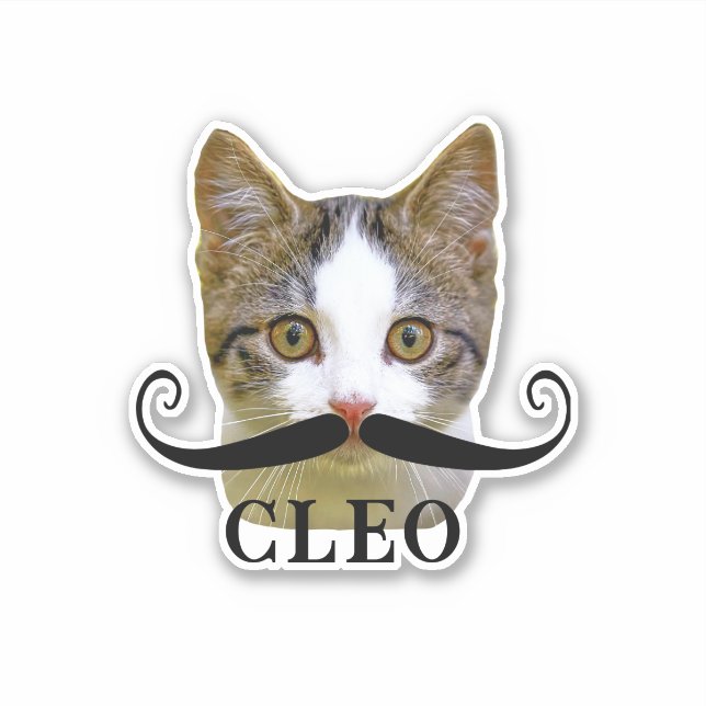 Funny Upload Cat Face Photo & Name with Moustache  (Front)