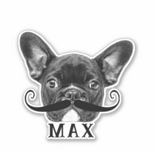Funny Upload Pet Face Photo & Name with Moustache